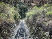 44302