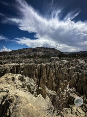 45198