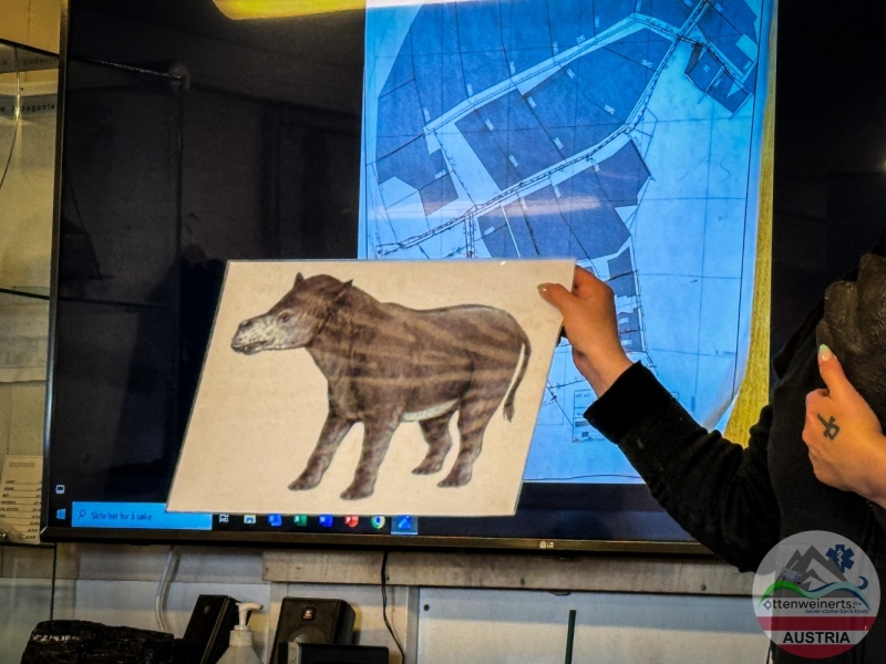 2024.07.03-09.42.54_01820_PS