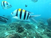 DCIM\100GOPRO\GOPR7519.JPG