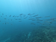 DCIM\100GOPRO\GOPR7724.JPG