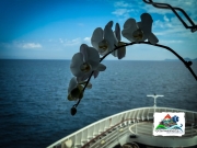 027978C8-CFB0-4D1B-B6B8-89B9314F5816