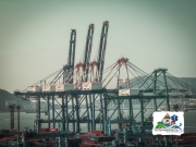764A1813-50FB-48AB-B491-78473EC51C38