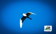 D70029F7-23EB-47C0-8760-1E0EDF43E584