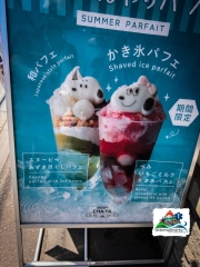 F9B6AA35-74E4-451E-BB33-24F2C87AF6DF