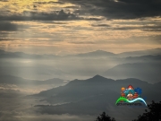 0CE6D559-9122-4729-86A6-F6B2D7F37484