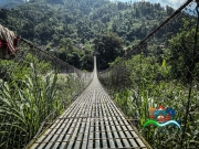 3D90820A-7E5C-47D3-91C2-F74F66B42EE1